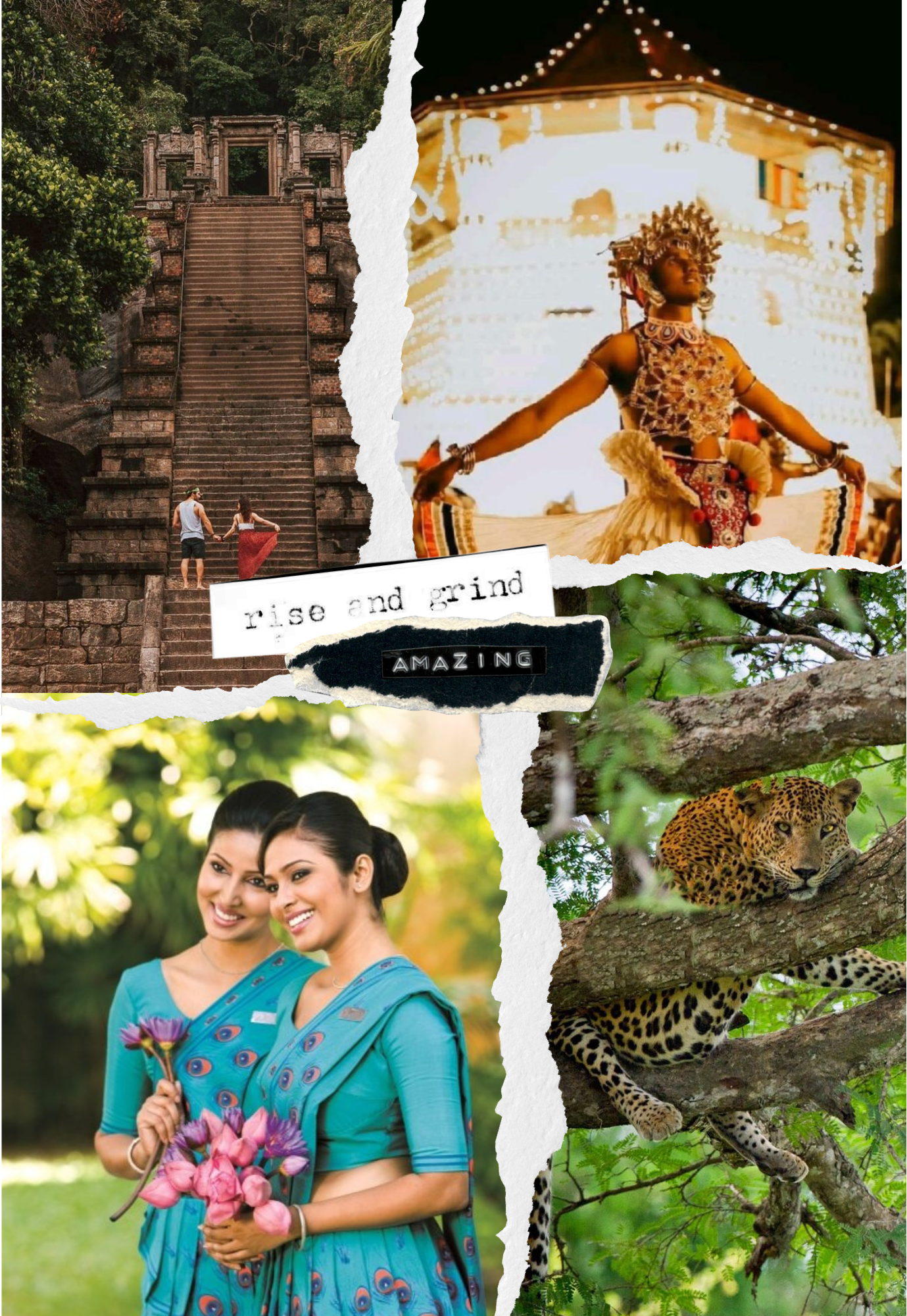 About Image